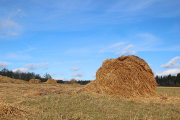 Haystacks on the farm