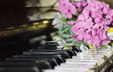 bouquet of summer flowers on a piano