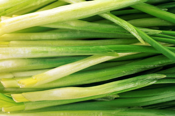 Wild leek, macro view