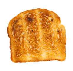 Piece of toast on white background
