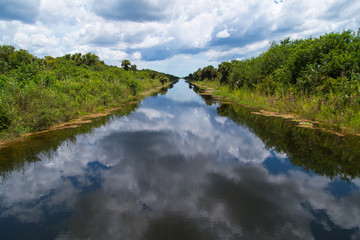Fototapeta na wymiar Florida Everglades Canal
