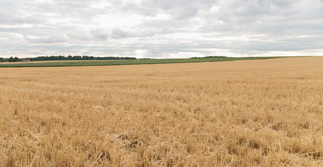 Fototapeta premium Paysage de campagne, champs