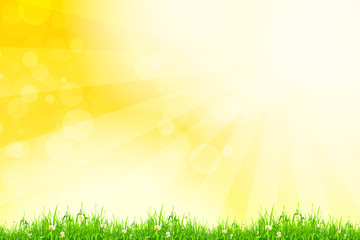 Fototapeta na wymiar Fresh green grass with yellow bokeh and sunlight. Beauty natural