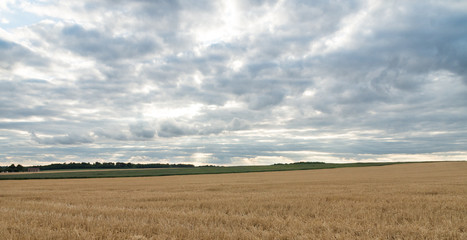 Fototapeta premium Paysage de campagne, champs