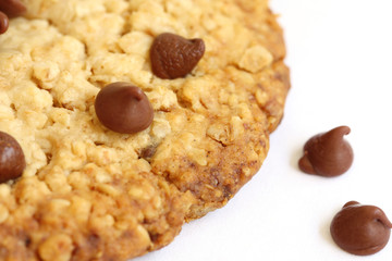 snack: isolated chocolate chip cookies on white background
