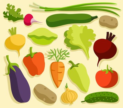 Vegetables, colored, flat. 