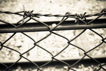 Barbed Wire Fence. Prison Fence in Black and White Closeup.