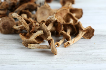 Dried mushrooms on wooden background