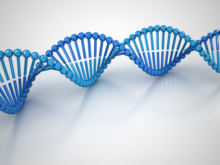 DNA Molecular Structure