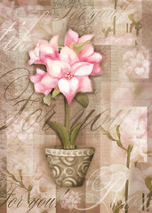Greeting postcard flower. Beautiful astromeria flower in the pot with pattern, isolated on grunge shabby background for holiday design. Hand painting love card.