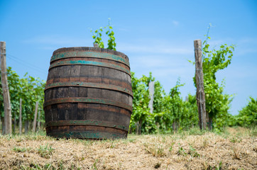 Obraz premium wooden wine barrel
