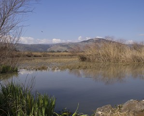 Lake Hula - Israel Nature and Wildlife Park