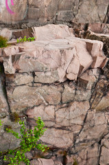 On the rocks