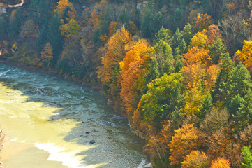 Naklejka na ściany i meble Autumn scene of river and forest