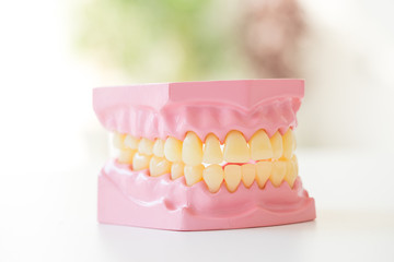 Denture shows how to use toothbrush, dental equipment