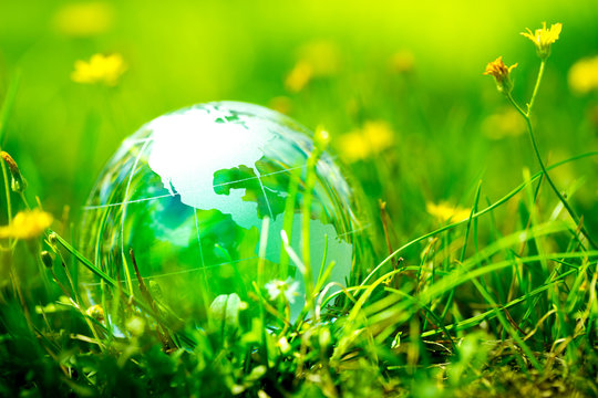 Green & Eco environment, glass globe in the garden