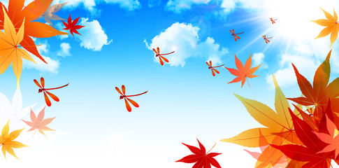 もみじ　赤とんぼ　背景 © J BOY