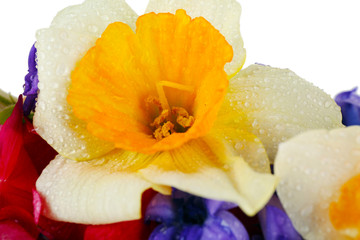 Beautiful bouquet of bright flowers close up