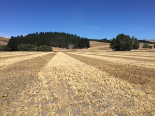 Farm Patterns