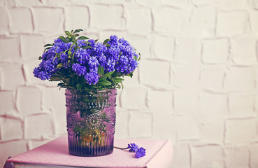 Beautiful bouquet of muscari - hyacinth in vase on wall background