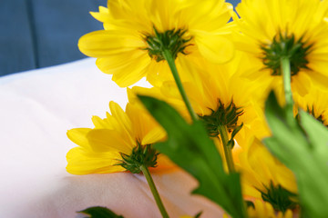 Beautiful yellow chrysanthemum on napkin close up