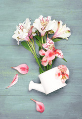 Beautiful alstroemeria in water can on wooden background