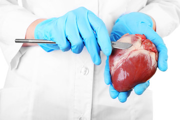 Doctor holding heart organ and scalpel close up