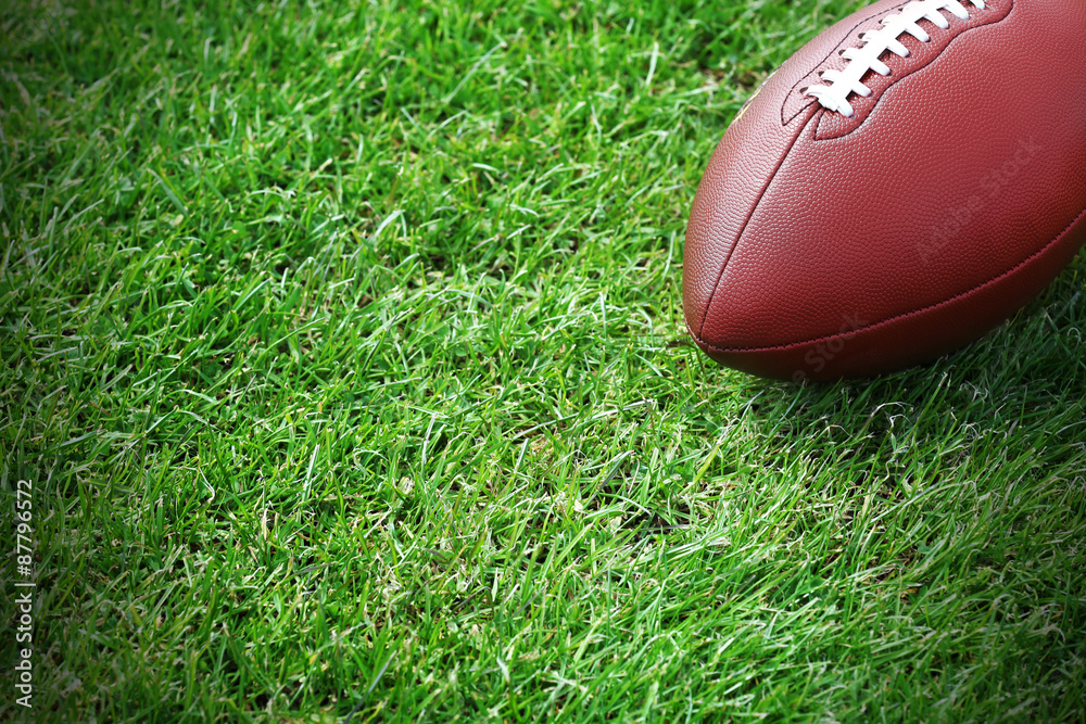 Sticker Rugby ball on green field