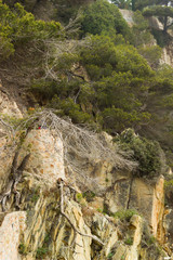 Fototapeta premium rocks and ground in sunny day