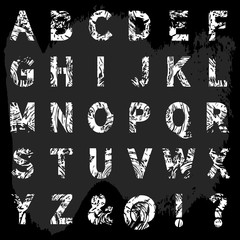Chalk alphabet, vector illustration.