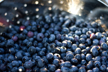 blueberries soft focus - 87798563