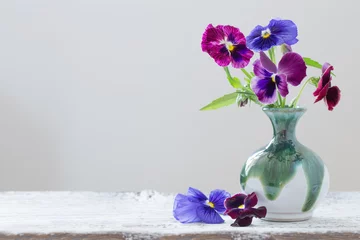 Crédence de cuisine en verre imprimé Pansies beautiful violet flowers on white background