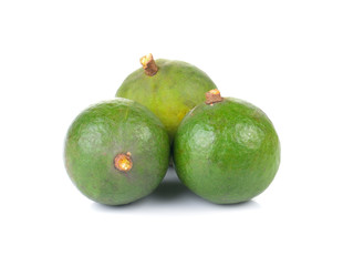  macadamia nut on white background