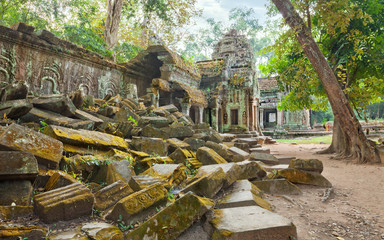 Ta Prohm Temple ancient ruins, Angkor 