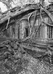 Beng Mealea Temple, Angkor, Cambodia