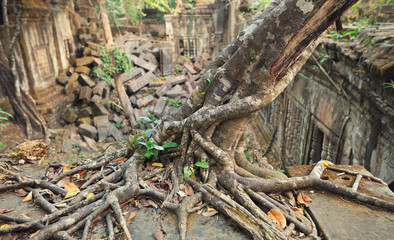 Beng Mealea Temple, Angkor, Cambodia