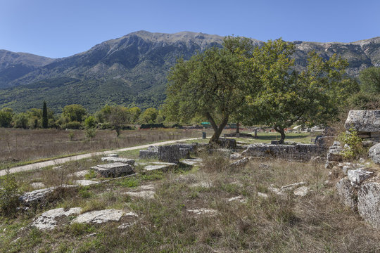 Ruins of the shrine of Dodona with sacred oak devoted to Mother Goddess, Greece