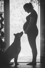 Pregnant woman with dog