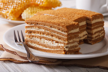 honey cake close-up on a plate on background honeycomb. horizontal