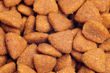 Dry dog food close up, close up shot