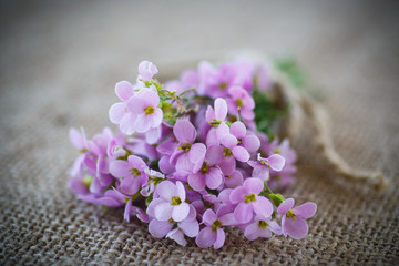 Fototapeta na wymiar bouquet of spring flowers