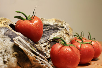 Tomatoes on a Log
