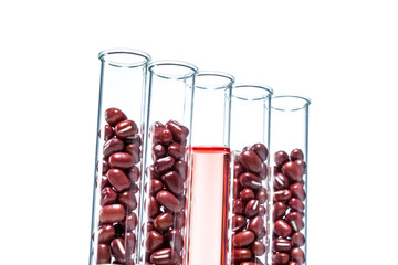Red beans genetically modified, Plant Cell