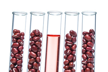 Red beans genetically modified, Plant Cell