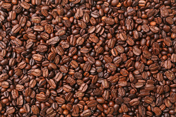 Closeup of coffee beans