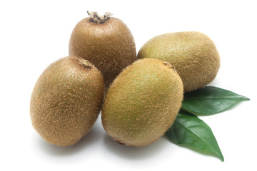 Kiwi fruit isolated on white background