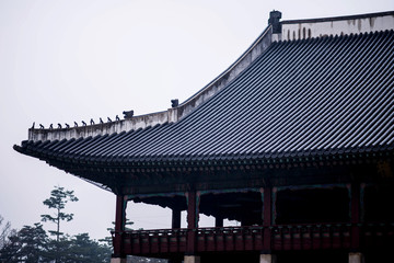 Fototapeta premium Korea castle roof