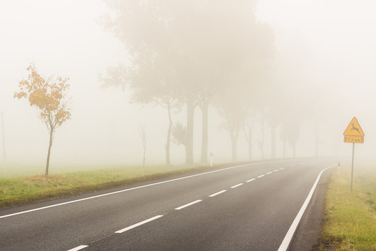 Autumn Foggy Day - Poland.