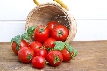 tomatoes