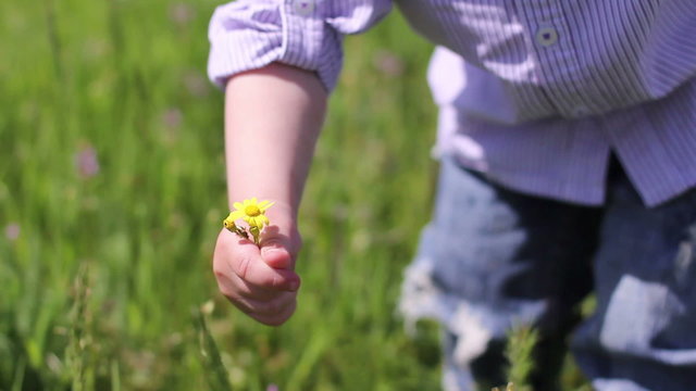 boy and a yellow flower 